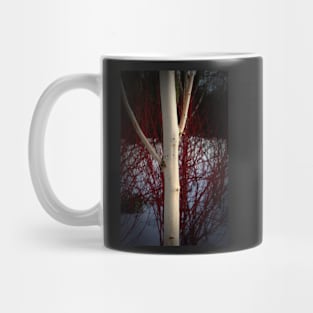 Birch and colour Mug